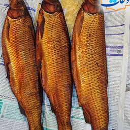 ماهی سفید شور ودودی تازه و تضمینی بابهترین قیمت وکیفیت ماهی سفید دریایی اعلا