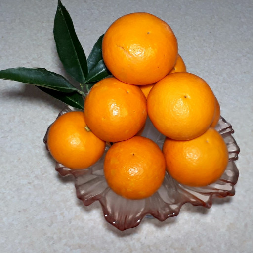 پرتقال محلی-با کیفیت- 10 کیلویی