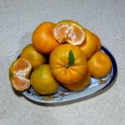 نارنگی محلی یا رسمی شمال- 10 کیلویی