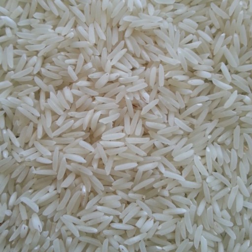نمونه برنج طارم استخوانی تازه کشت 900گرم