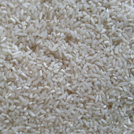 برنج سرلاشه طارم محلی فریدونکنار 40 کیلوگرم- برنج دهفری - برنج حاج رزاق