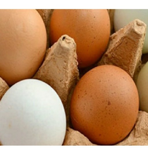 تخم مرغ محلی (10 عددی)