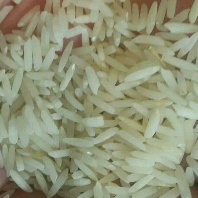 برنج دودی زغالی هاشمی 10 کیلویی درجه یک با ارسال رایگان