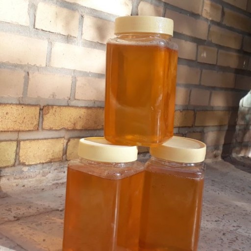 عسل 100 صد درصد طبیعی گون (یک کیلویی)