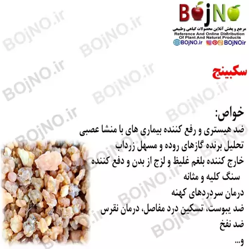 صمغ سکبینج (سکبینه) 20 گرمی