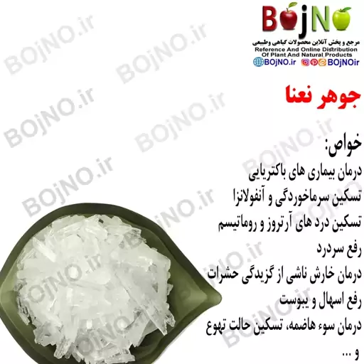 جوهر نعنا ( بسته 10 گرمی)