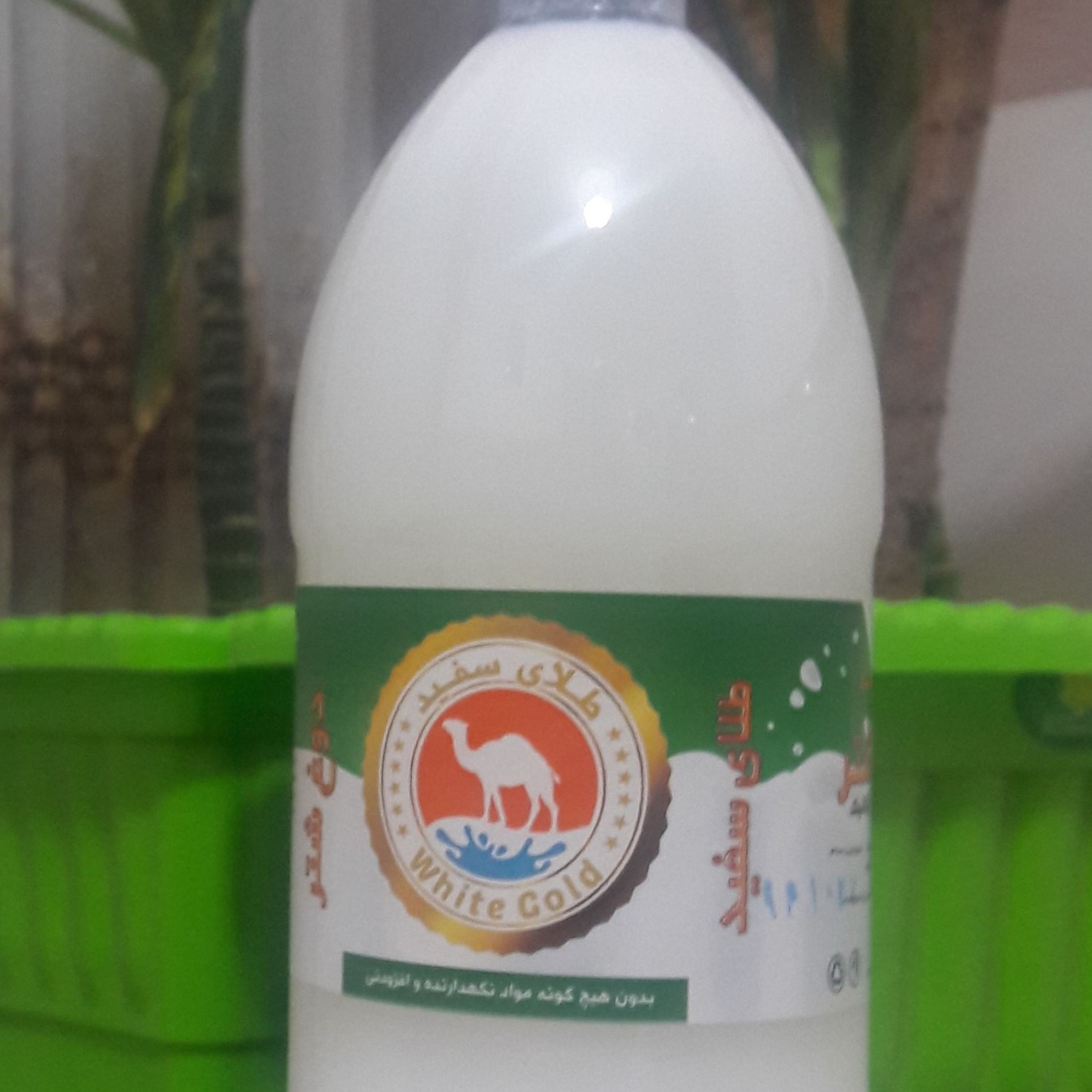 دوغ یک لیتری شتر