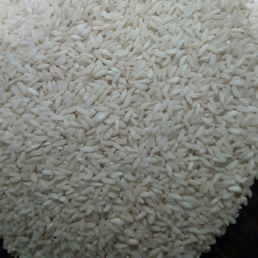 برنج محلی( کامفیروزی) یک کیلویی