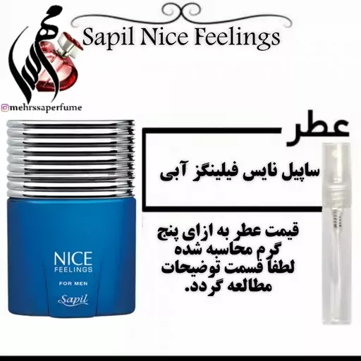 عطر مردانه ساپیل نایس فیلینگز آبی Sapil Nice Feeling

حجم 5 میل 