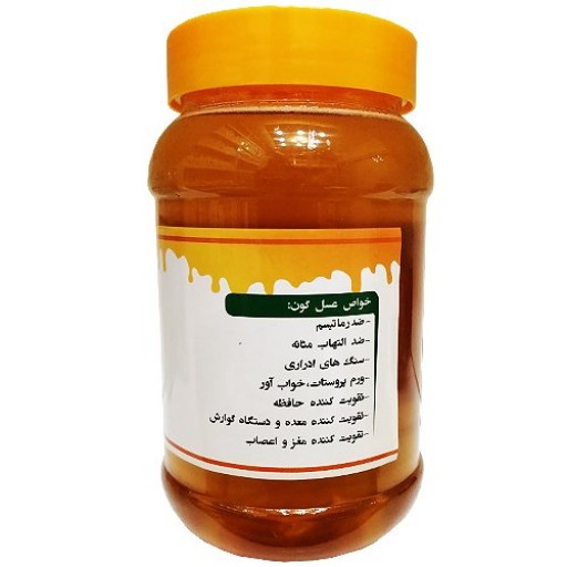 عسل گون سالمین - 900 گرم 