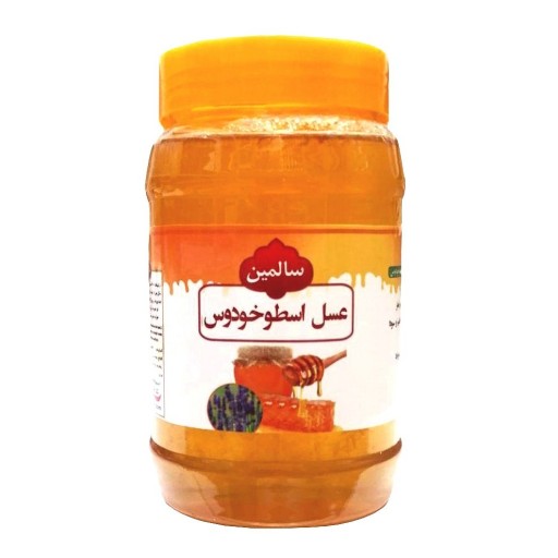 عسل اسطوخودوس سالمین - 900 گرم 