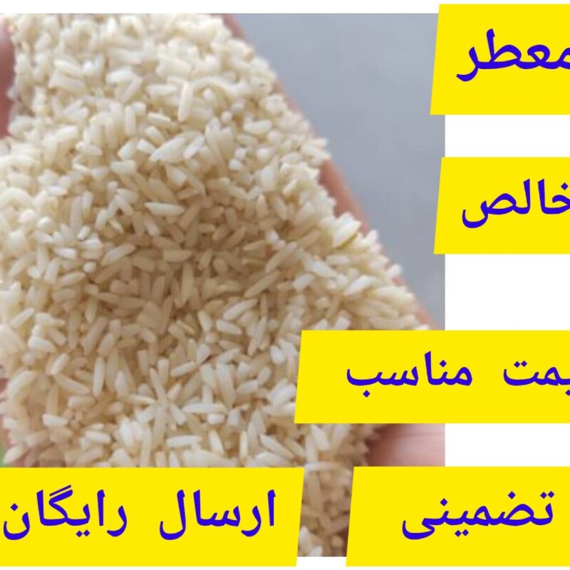 برنج سرلاشه طارم معطر و سفارشی امساله یارتا ( تضمین بی قید و شرط کیفیت-10 کیلو-خالص ارسال رایگان)