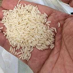 برنج طارم فریدونکنار ده کیلویی  فروش ویژه جشنواره