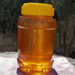عسل طبیعی چند گیاه ساکارز حدود 5