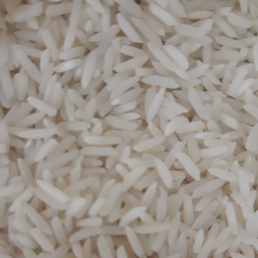 برنج 10 کیلویی فریدونکنار اعلا