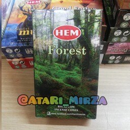 عود آبشاری هم رایحه جنگل بسته 10 عددی. Forest 