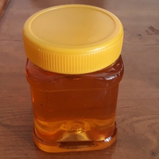 عسل چهل گیاه 100 درصد طبیعی دامنه های سبلان بسته نیم کیلویی
