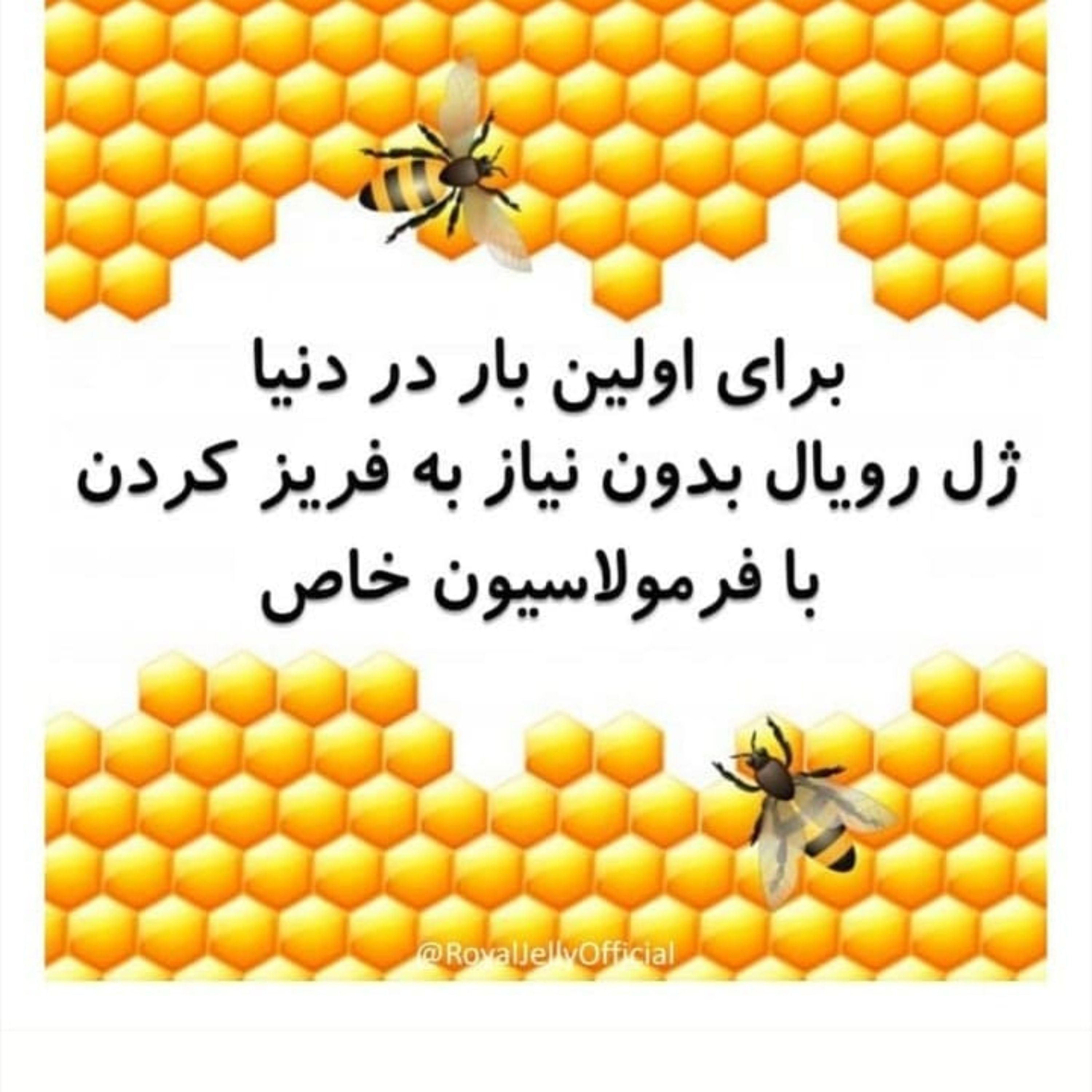 توضیحات تصویر