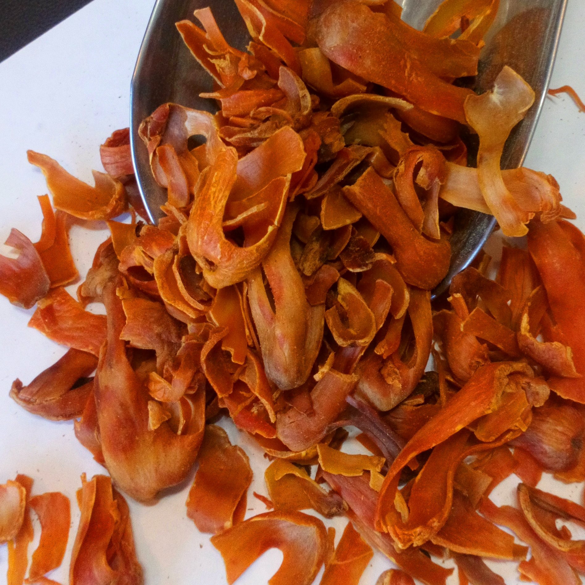 بسباسه (بسپاسه ، پوست جوز بوا)