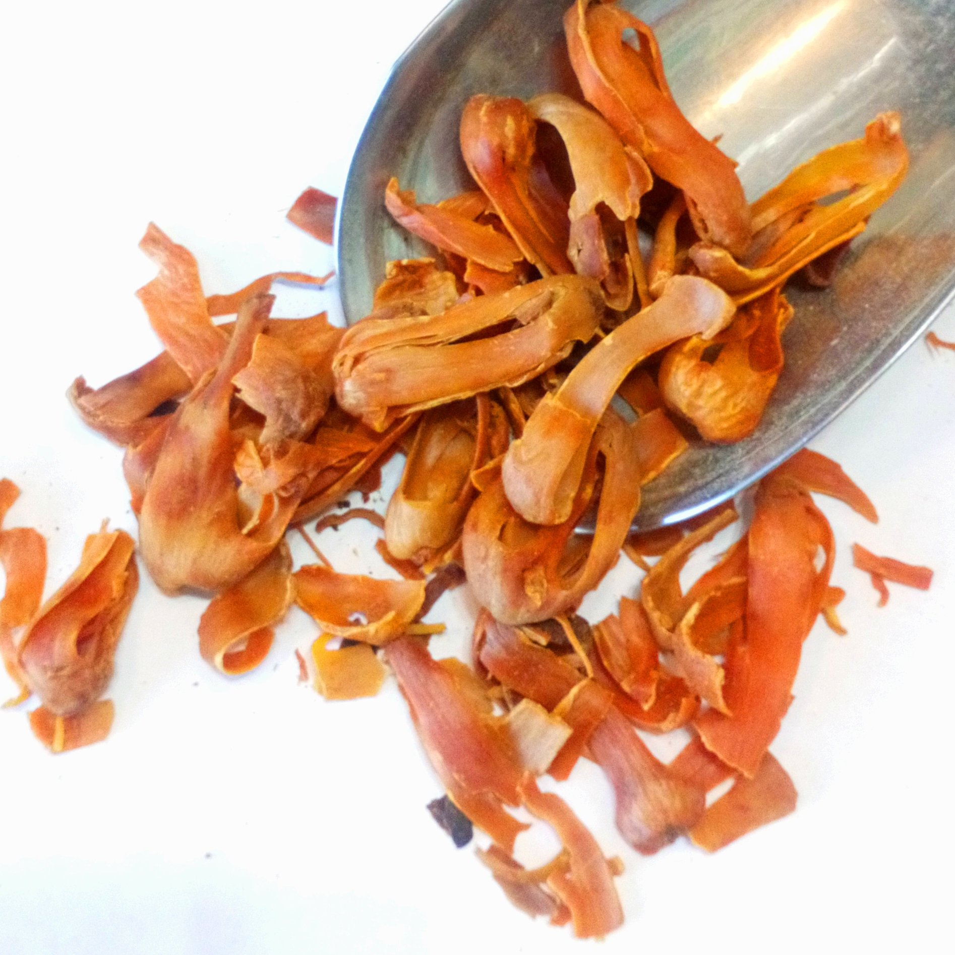 بسباسه (بسپاسه ، پوست جوز بوا)