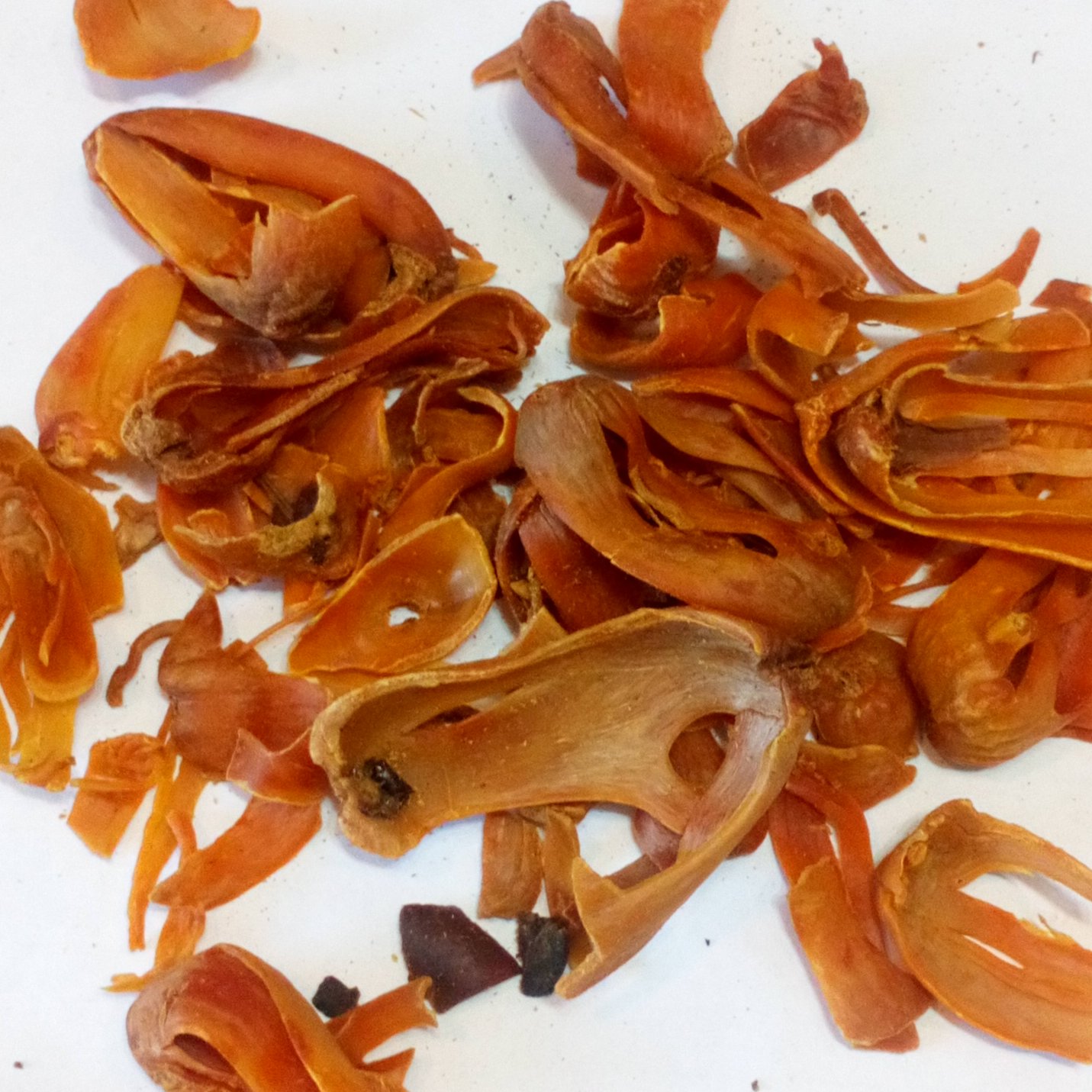 توضیحات تصویر