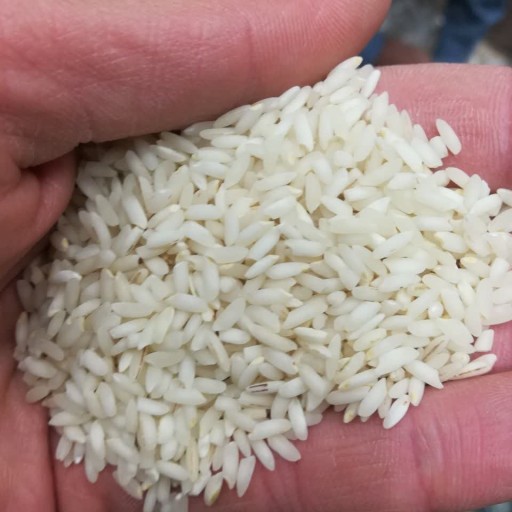 برنج عنبر بو معطر(10 کیلوگرمی)