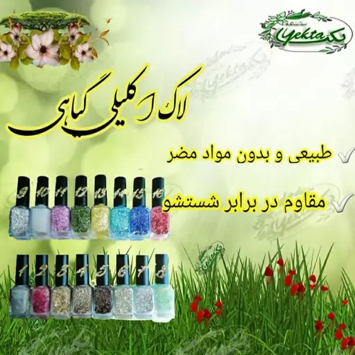 لاک اکلیلی گیاهی ( شاین )