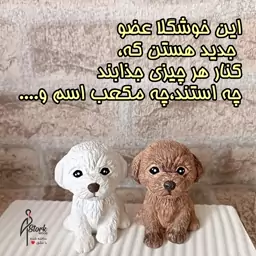 هاپو هشت سانتی.مناسب دکوری،استند،مکعب اسم،اکسسوری