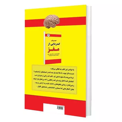 کتاب گندزدایی از مغز اثر فیت جی هارپر نشر راز معاصر