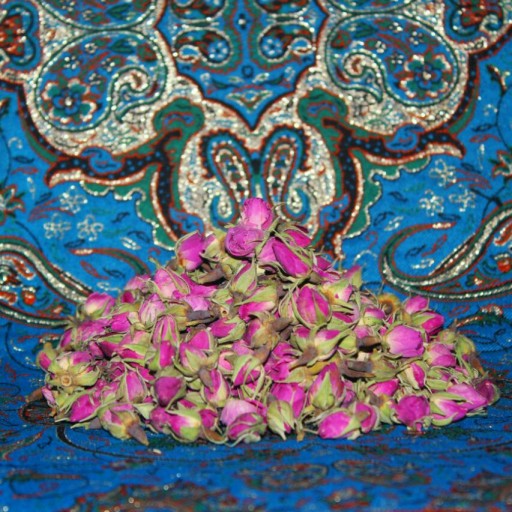 غنچه گل محمدی (درجه یک امسالی)