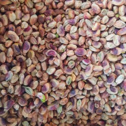 مغز پسته ممتاز گلدار آجیلی (پس کرایه)