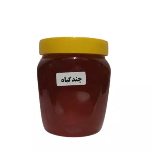 عسل طبیعی چندگیاه 5ستاره فدک (دوبسته یک کیلویی)