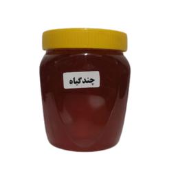 عسل طبیعی چندگیاه 5ستاره فدک (1کیلوباظرف)