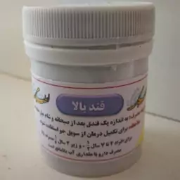 قند بالا (عدس الملک) طب اسلامی