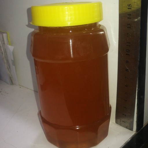 عسل کنار شوشتر 100درصد طبیعی یک کیلویی