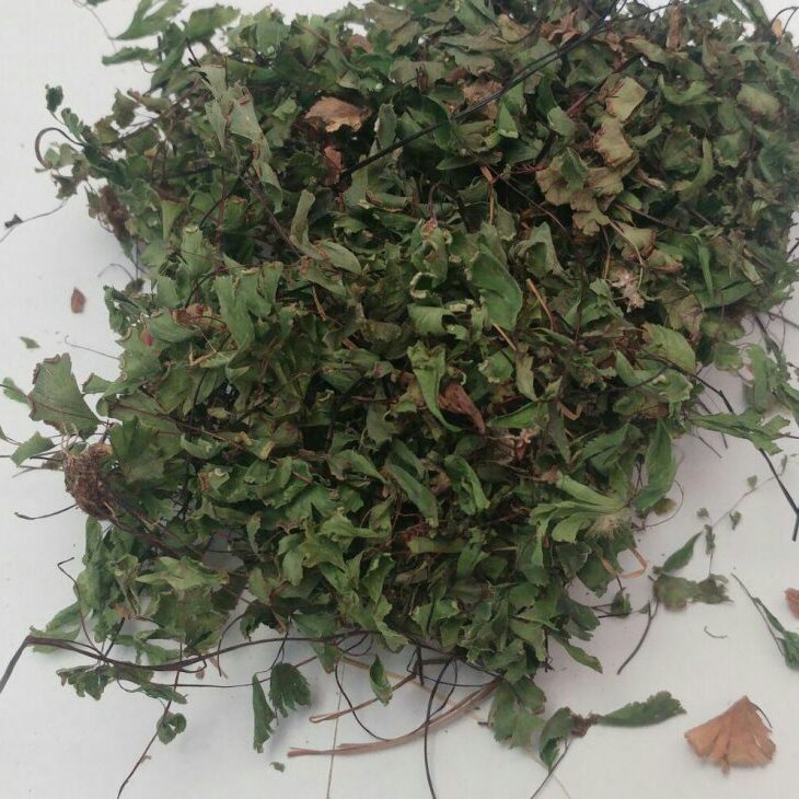 پر سیاوش 50 گرم (پرسیاوشان)