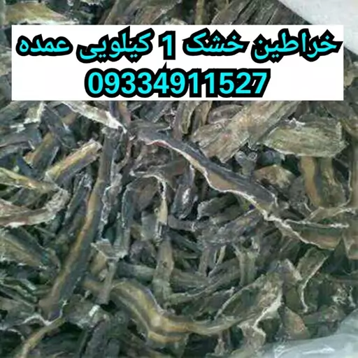 خراطین خشک 1 کیلویی عمده ( کرم خراطین )