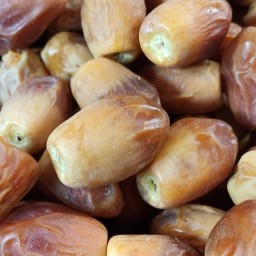 خرما زاهدی خوشمزه و مقوی