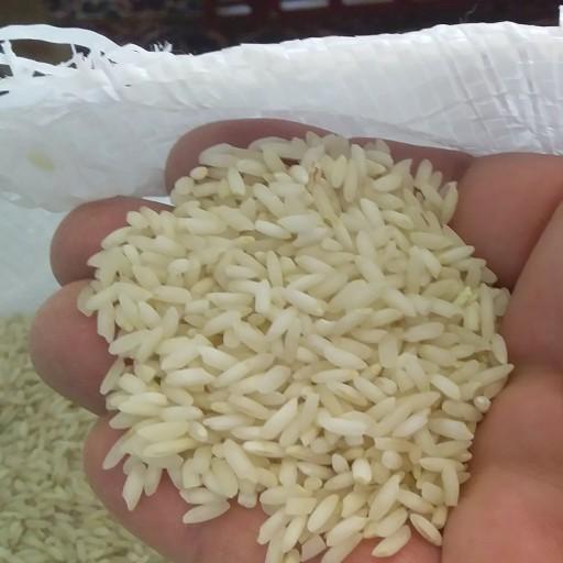 برنج بومی