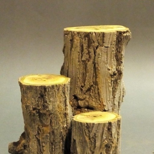 نمکدان های رستیک چوب طبیعی