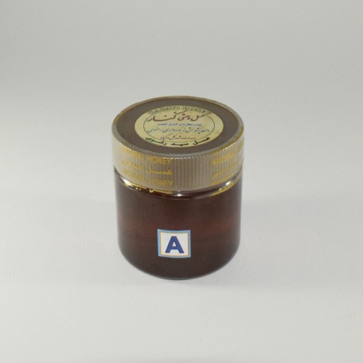 عسل کنار درجه الف (500 گرم با ظرف)