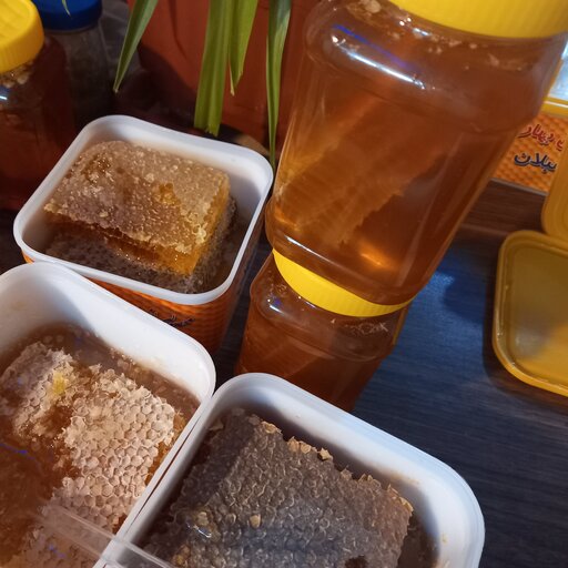 عسل بدون موم طبیعی