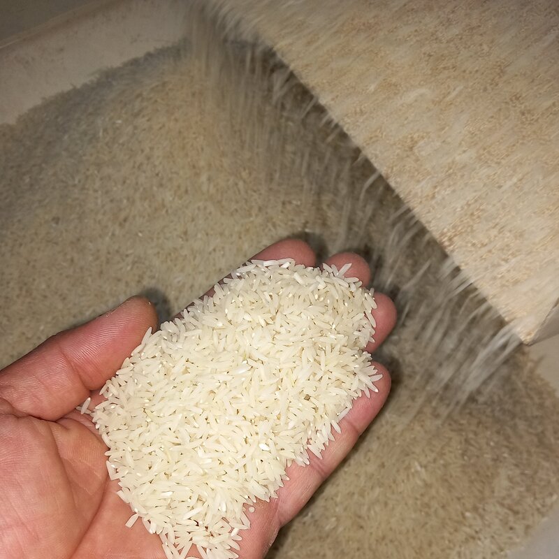برنج هاشمی فوق اعلاءآستانه اشرفیه10کیلویی(خریدمستقیم ازشالیکار)محصول1402