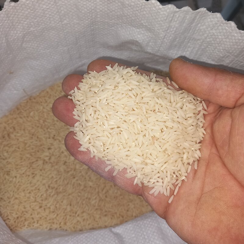 برنج هاشمی فوق اعلاء آستانه اشرفیه 5 کیلویی(خرید مستقیم از شالیکار)ارسال رایگان