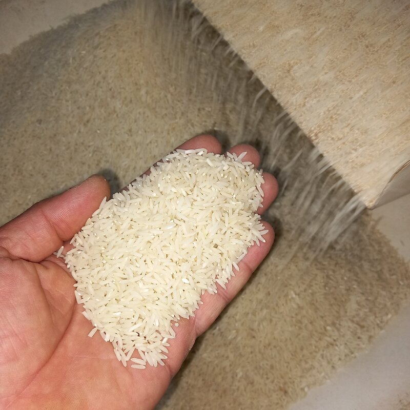 برنج هاشمی فوق اعلاءآستانه اشرفیه(خریدمستقیم ازشالیکار)50کیلویی