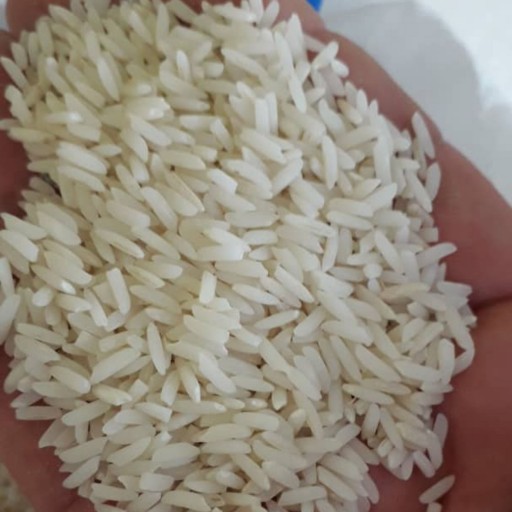 برنج هاشمی آستانه اشرفیه یکدست و اعلا(5کیلوگرم)