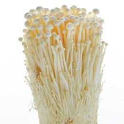 کمپوست قارچ انوکی (بستر رشد قارچ)