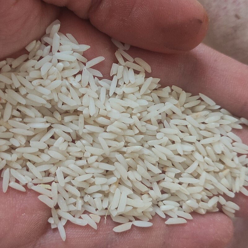 برنج دم سیاه کلات نادر 