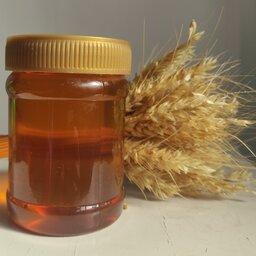 عسل گون طبیعی ویژه ( نیم کیلویی)