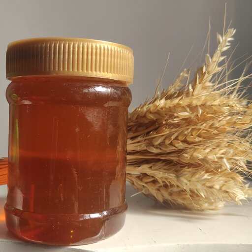 عسل کنار طبیعی ویژه  امسالی (نیم کیلویی) 